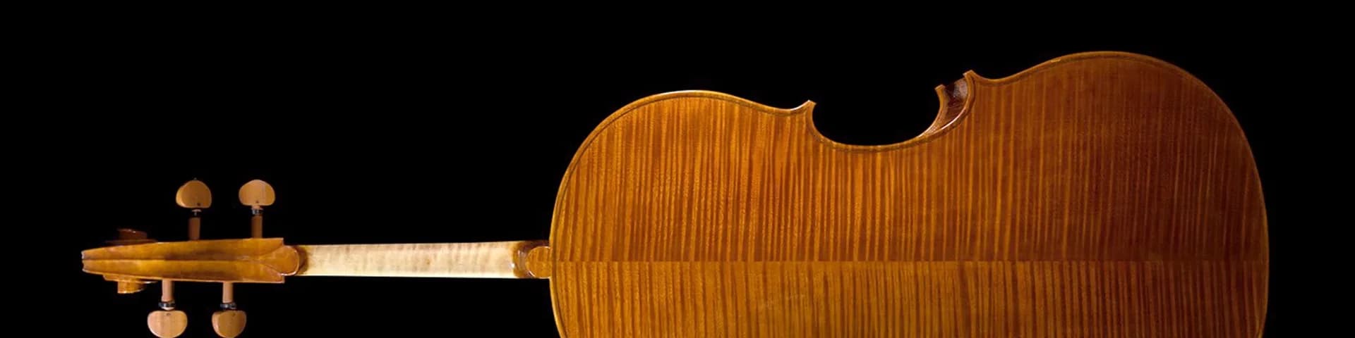 Strings